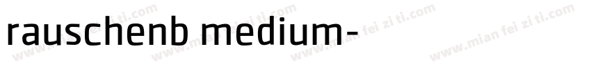 rauschenb medium字体转换